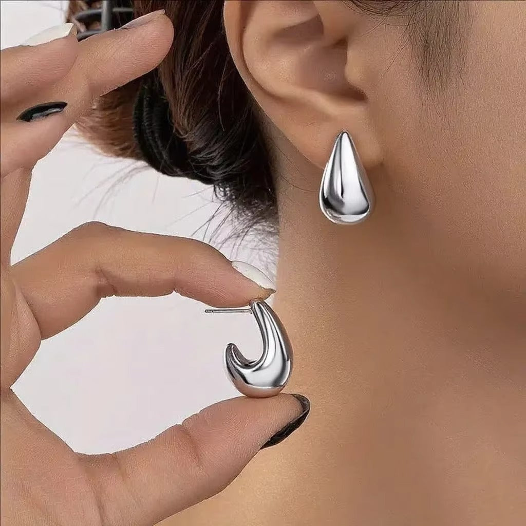 Nila Oorbellen - Zilver