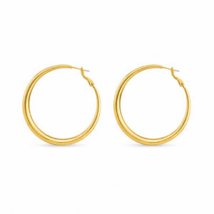 Fione Oorbellen - Goud