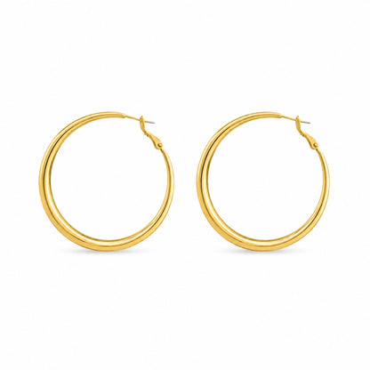 Fione Oorbellen - Goud