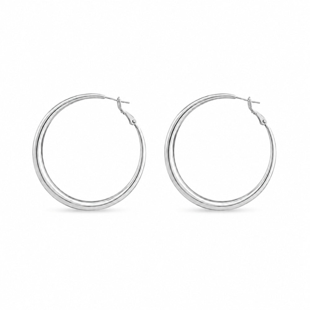 Fione Oorbellen - Zilver