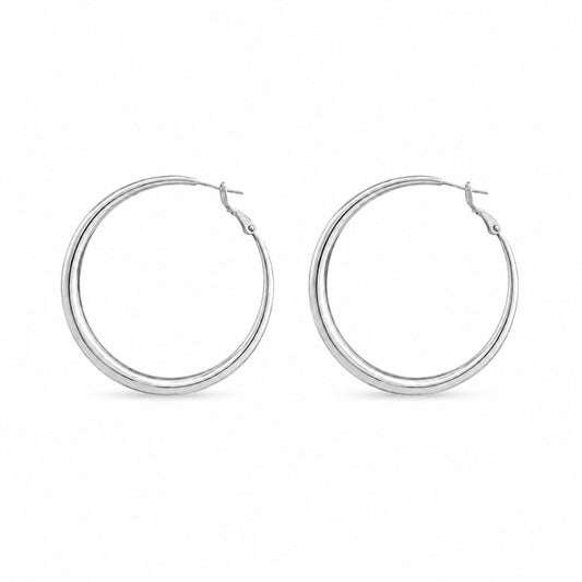 Fione Oorbellen - Zilver